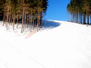 In ottime condizioni: le piste al Sürenberg