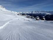 Discesa Panorama Fiescheralp