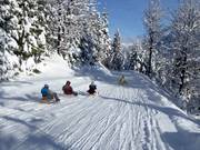 Suggerimento per i più piccoli 