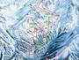 Mappa delle piste Ovronnaz