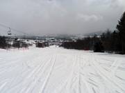 Discesa Stolheisbakken