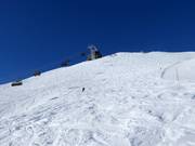 Vasta area di neve fresca presso la Hornbahn 2000