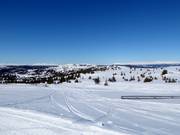 Vista dalla seggiovia Fjellheisen verso il Kvitfjellet (1044 m)