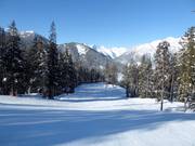 Discesa Schober's Dream nella Sun Bowl