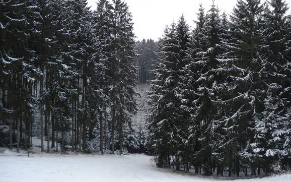 Offerta di piste Freising – Offerta di piste Hanslmühle - Mauern