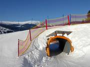 Suggerimento per i più piccoli 