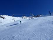 Pista nera presso la Leppleskofelbahn