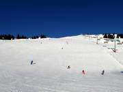 Ampia pista presso Hasenauer Köpfl