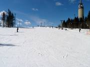 Pista principianti Nybegynnerbakken