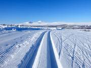 Pista da fondo a Ramundberget