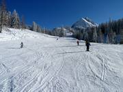 Discesa n. 11 Riedlkar