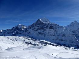 First - Grindelwald