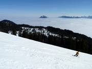 Vista sul Grünten sopra il mare di nebbia