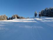 La parte superiore della pista