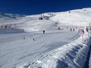 Area di esercitazione della scuola di sci