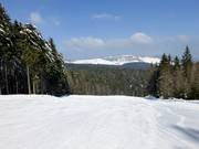 Ampia discesa nella parte superiore