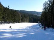 Pista facile presso lo skilift Spodní Šance