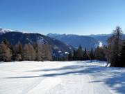 Discesa a valle n. 1 poco prima della stazione intermedia