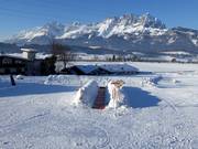 Suggerimento per i più piccoli  - Bobo Kinderland della scuola di sci Oberndorf