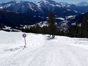 Percorso per slittino a Bellwald