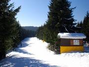 Molto pianeggiante: pista dal Bremberg in direzione Kahler Asten