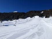 Pista facile presso lo skilift Amerikan