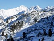 Rückbringerlift - Skilift con T-bar/ancora