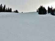 Pista intermedia dello skilift Muldenlift Est