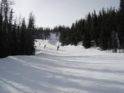 Pista n. 150 Look Out