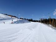 Pista principianti Bärenhang