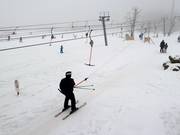 Gli skilift a valle servono piste facili.