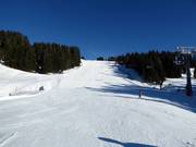 Discesa Joch a Brixen im Thale