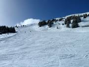 Discesa dal Piz Scalottas