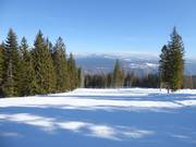 Pista Fiorentini n. 30