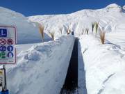 Hexenland 4 - Tapis roulant/Tappeto Magico