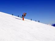 Cannone da neve ad alte prestazioni