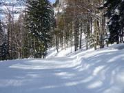 Facile pista da sci Salzberg