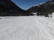 Facile e ampia discesa Schneeflucht