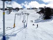 Blaxland T-Bar - Skilift con T-bar/ancora