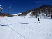 Pista di esercitazione presso la seggiovia Dream Quad Lift #1 ad Annupuri