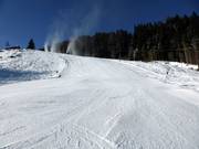 Pista difficile Heimalm-Rauris