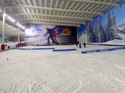 Pista per principianti nella parte inferiore della ski hall