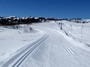 Piste da fondo a Geilo