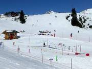 Suggerimento per i più piccoli 