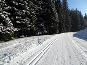 Pista da fondo a Villars