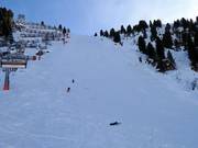 Pista estremamente ripida Harakiri