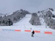 Pista presso la Needles Gondola