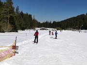 Sciovia Bunderishka Polyana 1