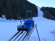 Suggerimento per i più piccoli  - Family Bob