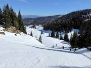 Pista Val delle Lanze n. 26